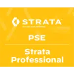 Palo Alto NetwStrata Professional Accreditation Badge Engineer
