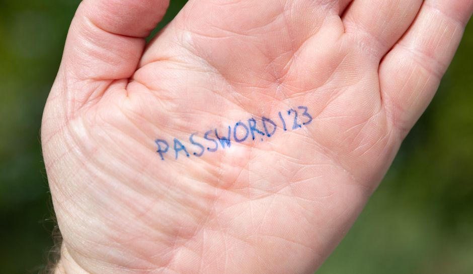 password123 written on a persons hand