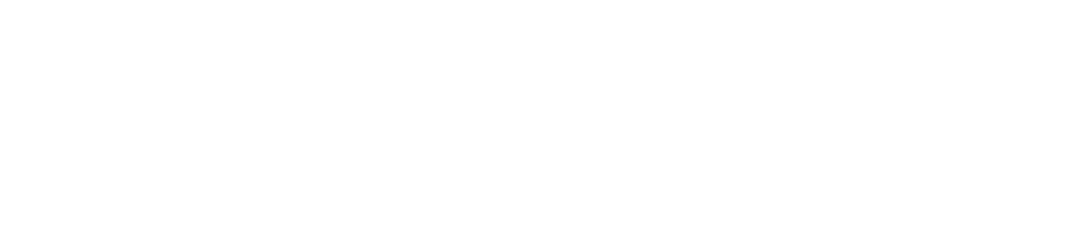 Check Point Logo in white